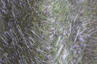 Swanland fibreglass roof work